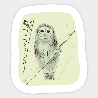 Owl drawing Sticker